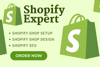 audit shopify website setup shopify shop seo shopify performance issues