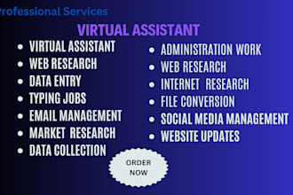 be your virtual assistant,market research,data entry,web research and admin task