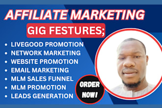 do superfast mlm promotion email blast mlm leads mlm sales funnel email campaign