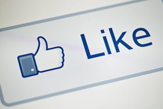 add  1500 REAL Facebook Likes On Your Fan Page In 24h