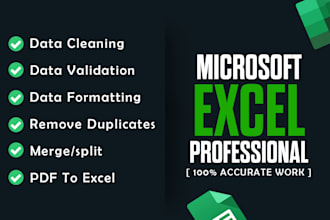 do excel data cleaning, format and merge excel data