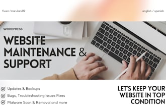 provide monthly wordpress website maintenance and support