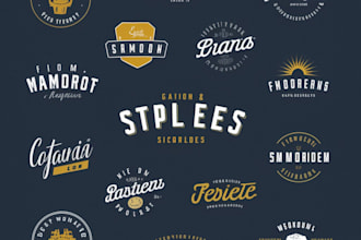 design a professional logo for you with its mockup in less than 48 hours