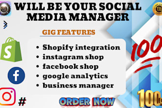 do shopify integration, google analytics, facebook and instagram shop setup