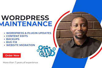 provide maintenance and support for your wordpress website