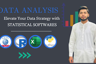 do spss data analysis and statistical reporting services