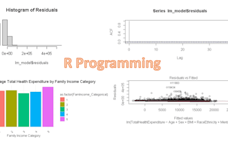 offer r programming , stata and python tutoring