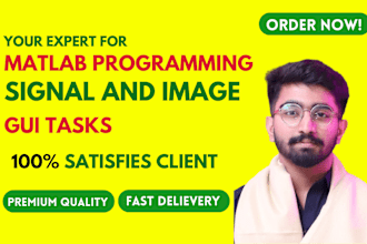 do matlab programming, simulink, image and signal processing