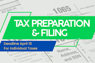 prepare and file US tax return for individuals and businesses