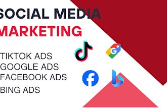 setup and verify google shop and ads, tiktok shop,bing ads,facebook ads and shop