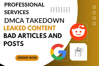 report to remove leaked content on reddit,articles,google images under dmca