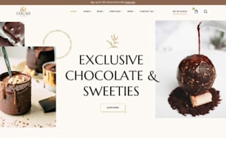 build profitable chocolate shopify store ice cream  store chocolate website