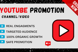 do organic youtube video promotion
