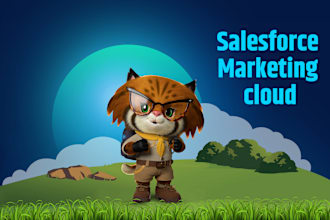 be your salesforce marketing cloud consultant for doing admin, development work