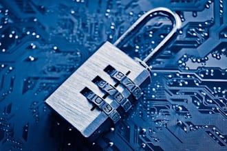 do penetration testing and explore vulnerabilities