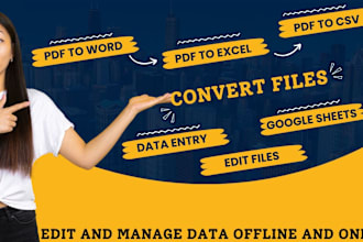 expertly convert PDF to excel, PDF to word, or data entry