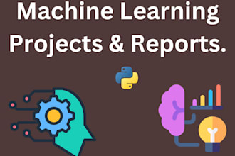 do your machine learning project and report