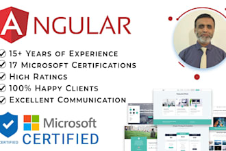 develop dot net core and angular web application