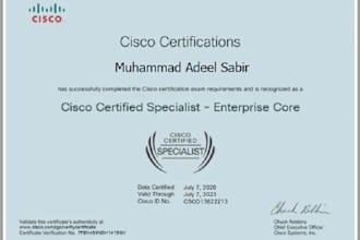 do cisco packet tracer, ccna, ccnp, gns3 and networking related tasks