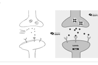 develop high quality graphical abstracts and illustrations