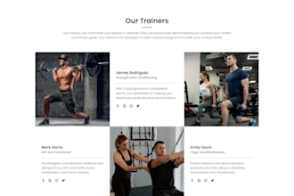 professional web developer for custom websites