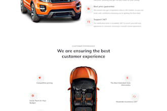 professional web developer and perfect website