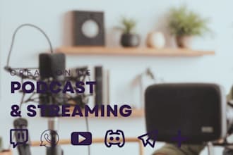 professionally set up your streaming expert in irl o gaming