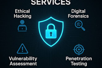 do advanced penetration test and supply you cyber security services