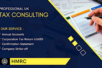 prepare and file UK company accounts and ct600