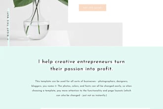 seo optimization, showit design, template redesign, showit website