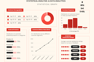 do statistical data analysis projects  in python, r, spss and excel