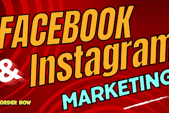 grow your facebook and instagram business