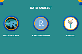 do r coding r studio and r programming assignments