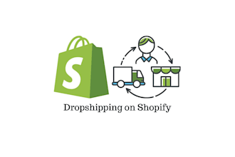 do a shopify dropshipping and store SEO and store design