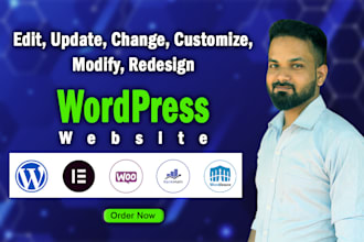 edit wordpress website, update wordpress website, do changes or customize
