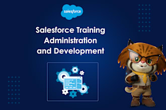be consult, give you salesforce admin and development training