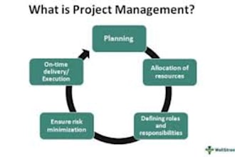 do project management assignments, reports and tasks