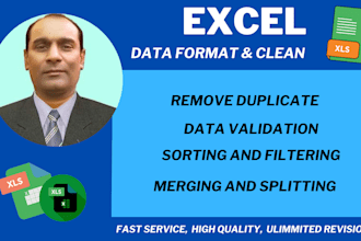 professionally clean, organize, and format your excel data