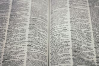 translate the english into chinese
