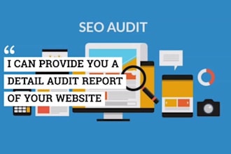 do a SEO website audit and be your consultant