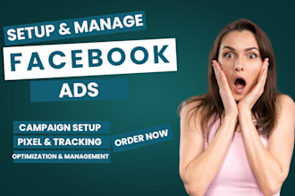 setup and manage facebook ads meta fb ad campaign advertising marketing campaign