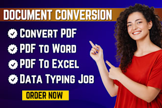 convert PDF to word, PDF to excel, data typing in 1 hours