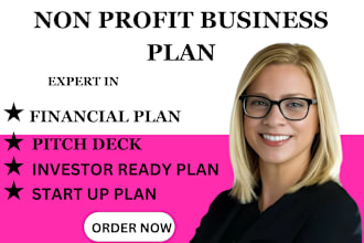 write business plan for startups, non profit, investor, business organization