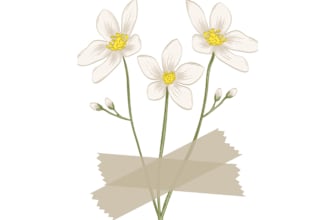 design your flyer and minimalist flower logo