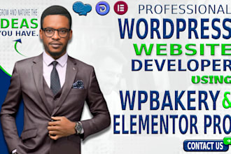 expert wordpress website customization with wpbakery, divi and elementor pro