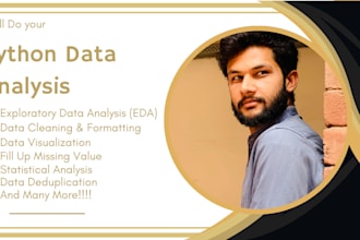 be your data analyst, expertise in python, jupyter notebook