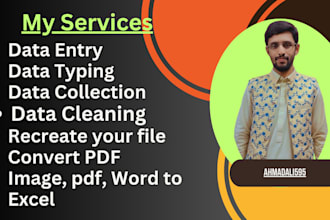 do reliable data entry  for your business with  accuracy, on time delivery