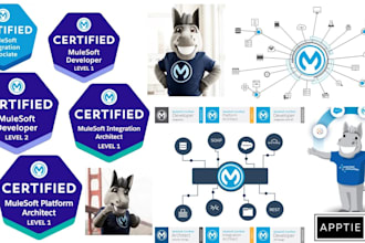 create professional dataweave scripts for your mulesoft projects