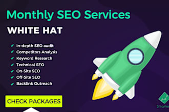 provide full monthly SEO services, best expert packages