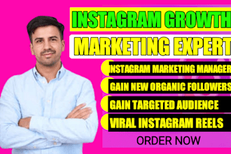 provide super fast organic instagram growth and promotion for viral marketing